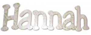 Hannahs Garden of Roses Hand Painted Wall Letters