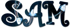 Rockets Hand Painted Wall Letters