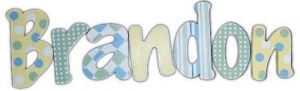 Brandon Designs Hand Painted Wall Letters