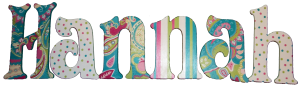 Turquoise Paisley Hannah