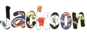 Chicago Sports Jackson