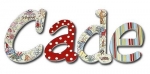 Circus Toile Hand Painted Wall Letters