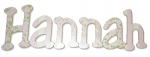 Hannahs Garden of Roses Hand Painted Wall Letters