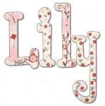 Sweet Lily Hand Painted Wall Letters